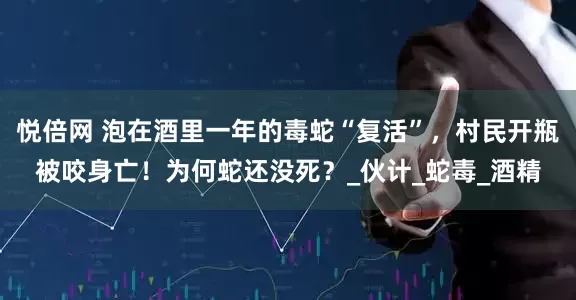 悦倍网 泡在酒里一年的毒蛇“复活”，村民开瓶被咬身亡！为何蛇还没死？_伙计_蛇毒_酒精