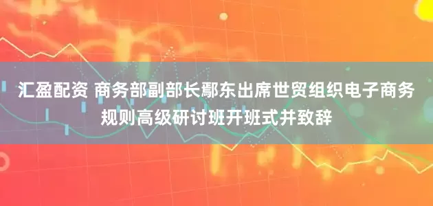 汇盈配资 商务部副部长鄢东出席世贸组织电子商务规则高级研讨班开班式并致辞